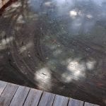 article image -